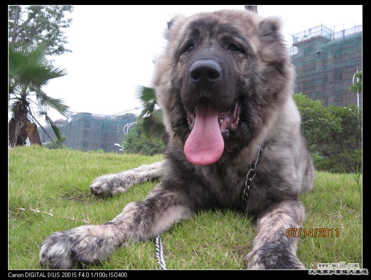 nEO_IMG_Ƭ 037.jpg