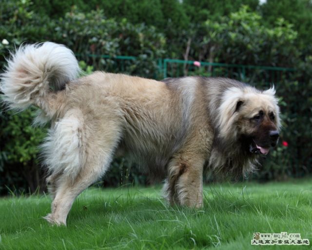 20110710_944d_31m003_D1.JPG