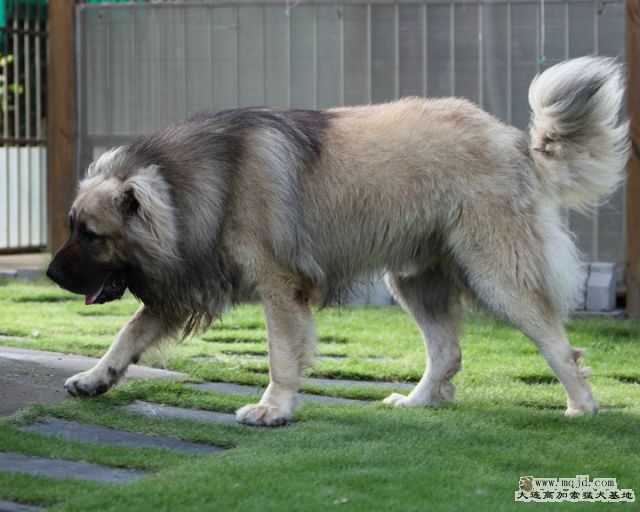 20110716_950d_31m_001_D1.JPG