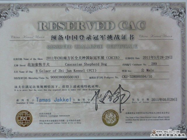 P1060680.JPG