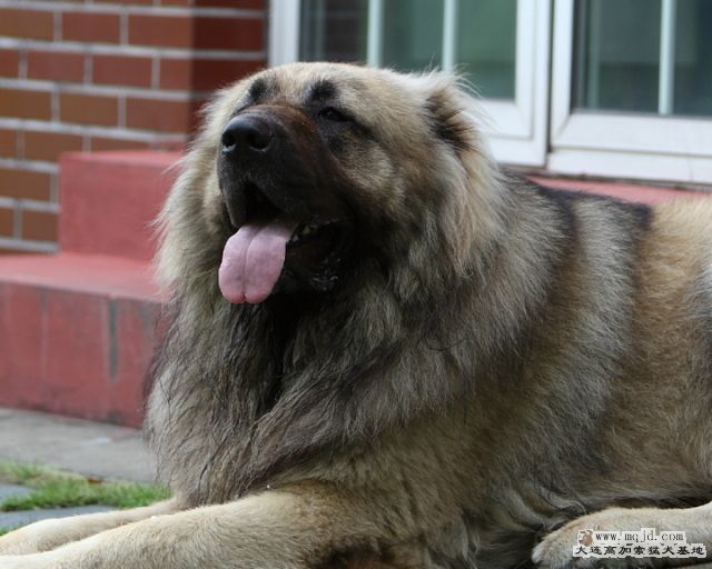 20110716_950d_31m_007b_D1.JPG