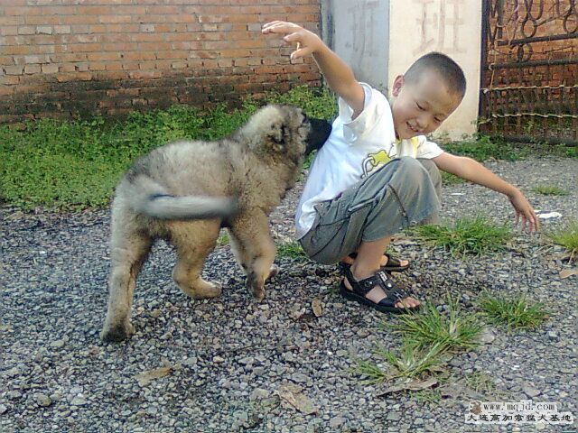 Ƭ0602.jpg