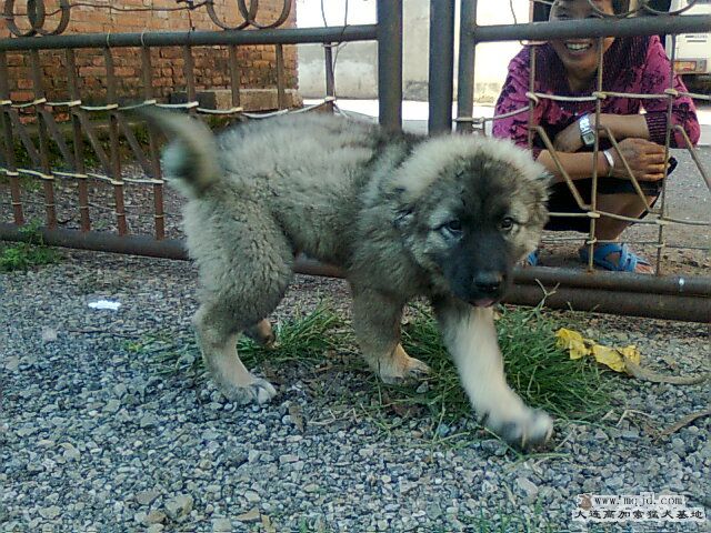 Ƭ0604.jpg