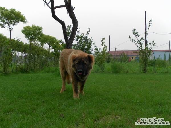 2011072405.jpg