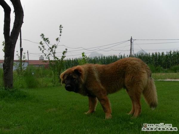 2011072404.jpg