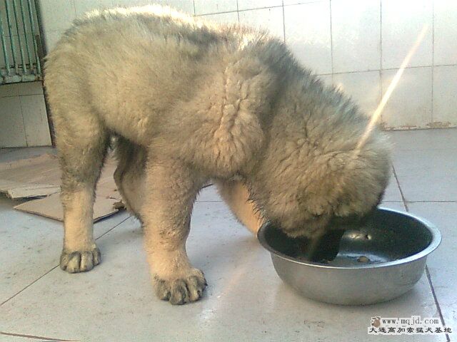 Ƭ0637.jpg