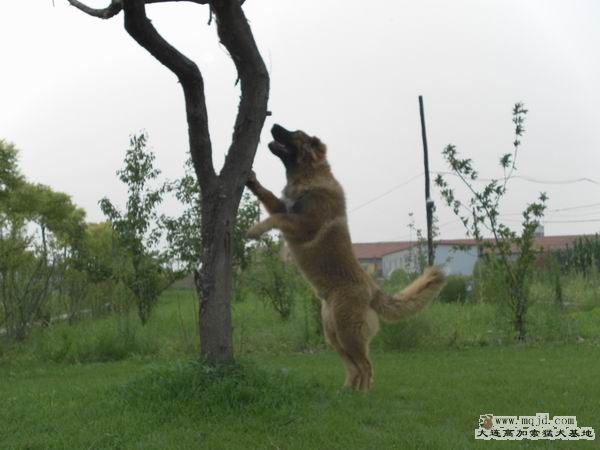 2011072403.jpg