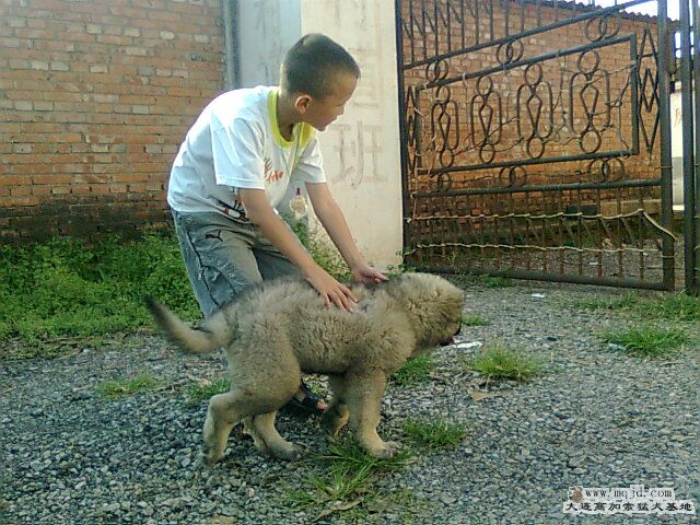 Ƭ0600.jpg