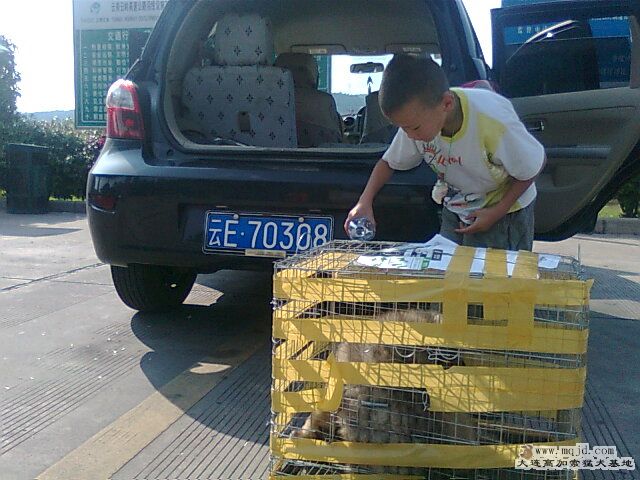 Ƭ0595.jpg