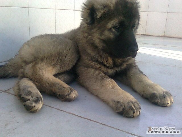 Ƭ0629.jpg