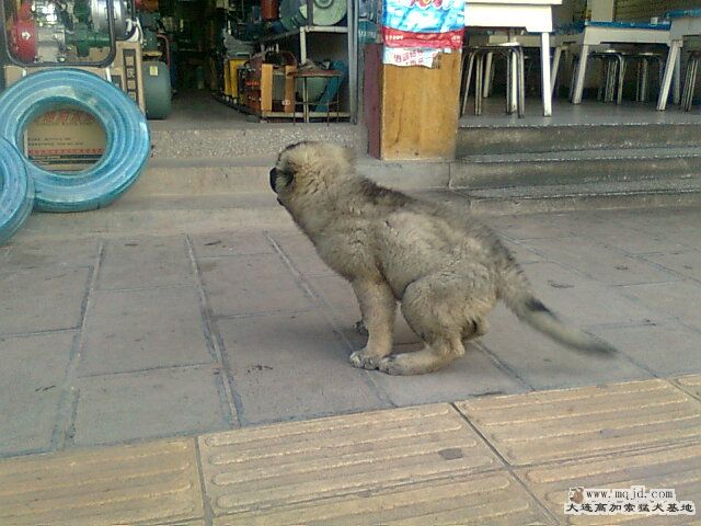 Ƭ0676.jpg