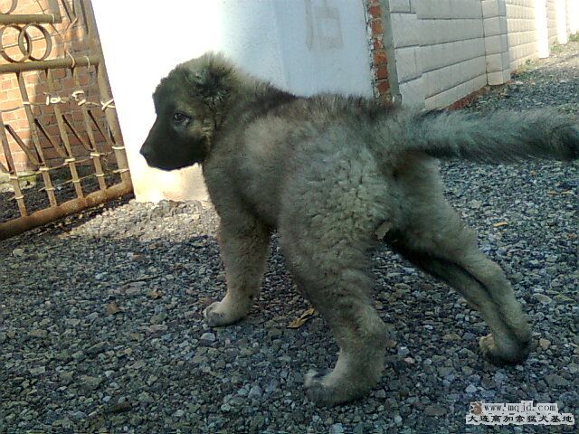 Ƭ0610.jpg