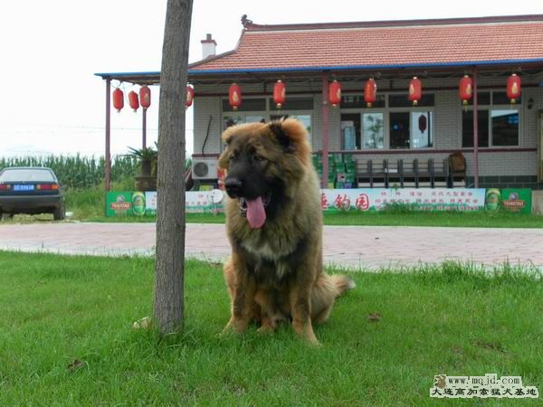2011072402.jpg