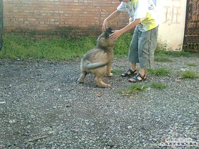 Ƭ0597.jpg