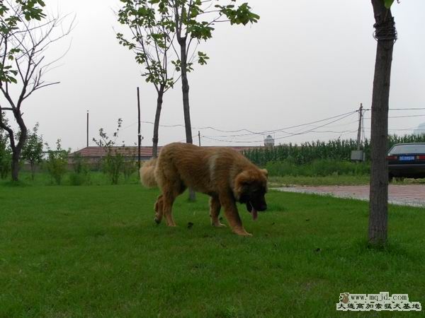 2011072407.jpg