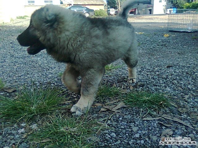 Ƭ0609.jpg