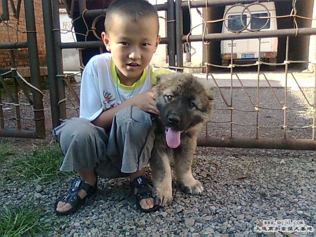 Ƭ0606.jpg