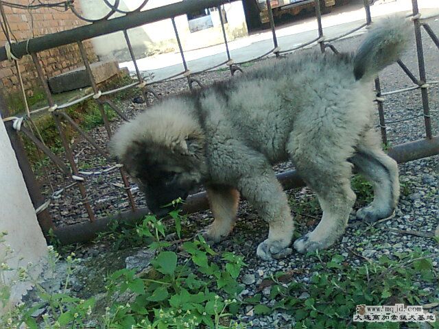 Ƭ0608.jpg