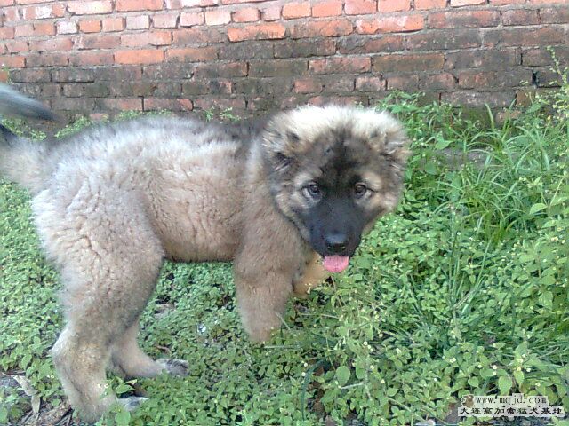Ƭ0613.jpg