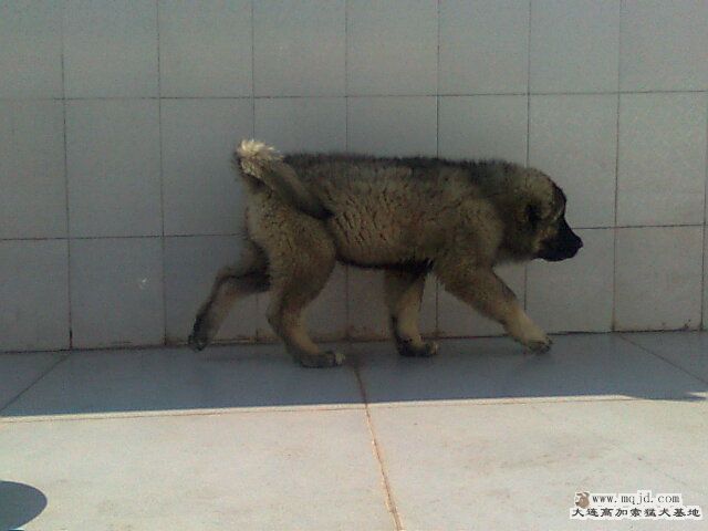 Ƭ0666.jpg