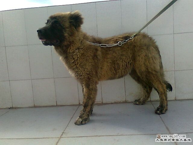 Ƭ0714.jpg