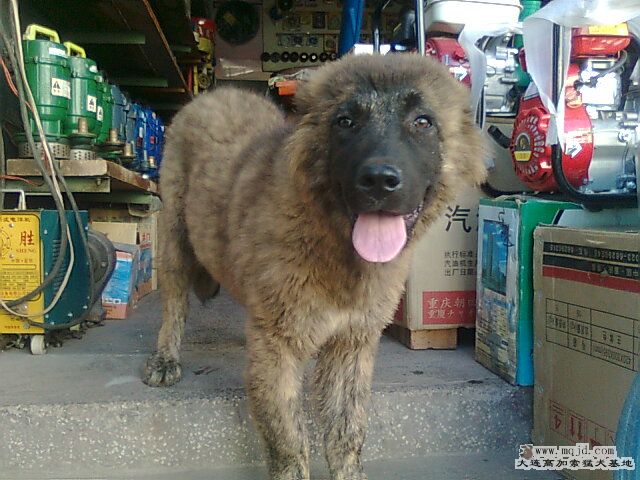 Ƭ0705.jpg