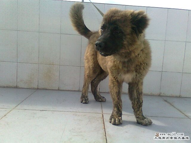 Ƭ0712.jpg