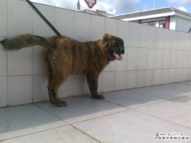 Ƭ0709.jpg