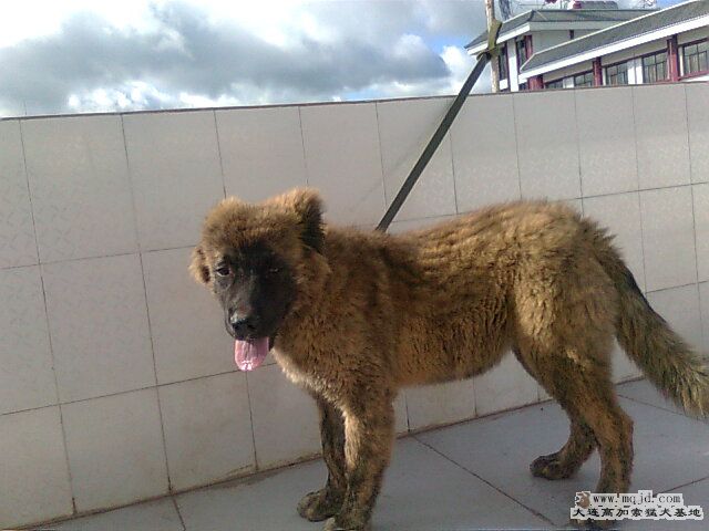 Ƭ0707.jpg