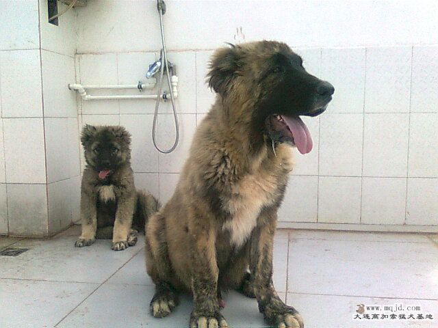 Ƭ0721.jpg
