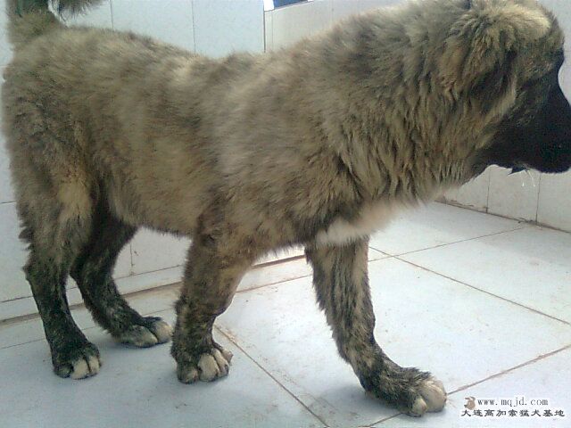 Ƭ0727.jpg