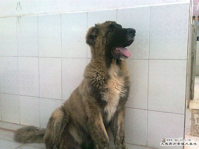 Ƭ0724.jpg