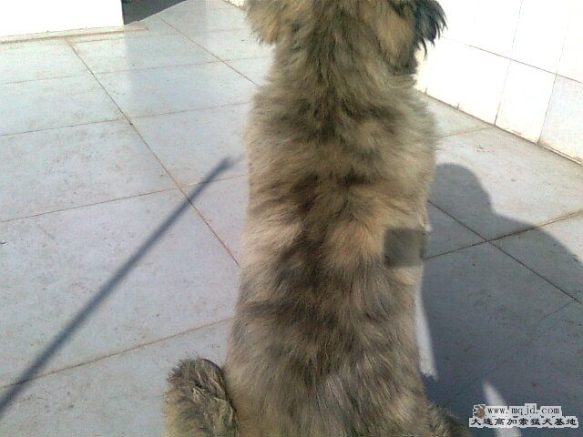 Ƭ0740.jpg