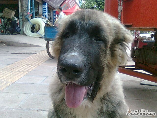 Ƭ0719.jpg