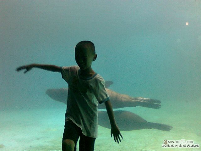 Ƭ0548.jpg