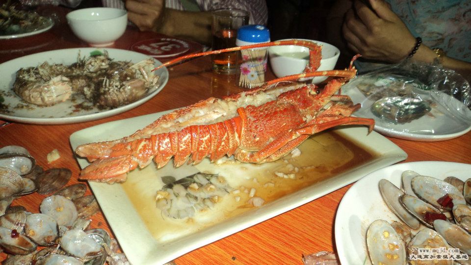 DSC04842.JPG