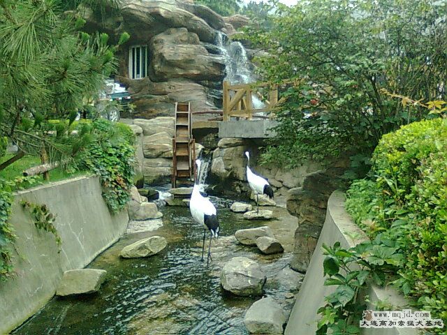 Ƭ0501.jpg