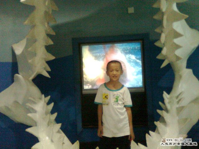 Ƭ0586.jpg