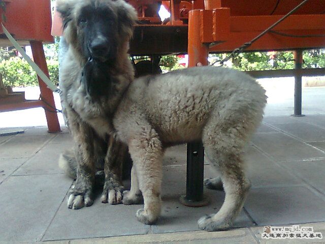 Ƭ0807.jpg