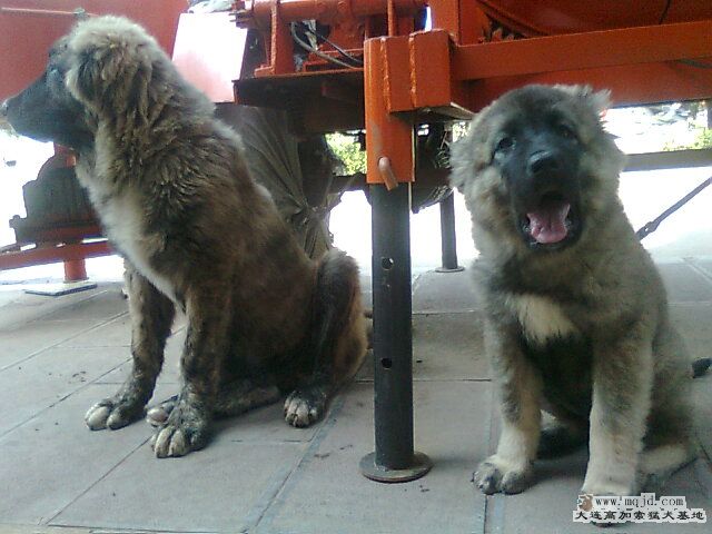Ƭ0803.jpg