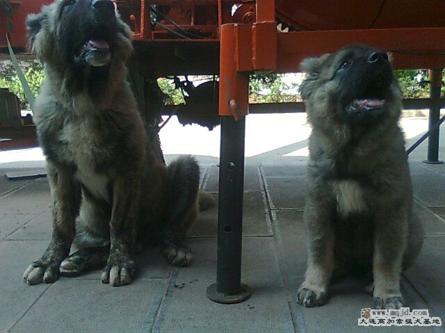 Ƭ0806.jpg