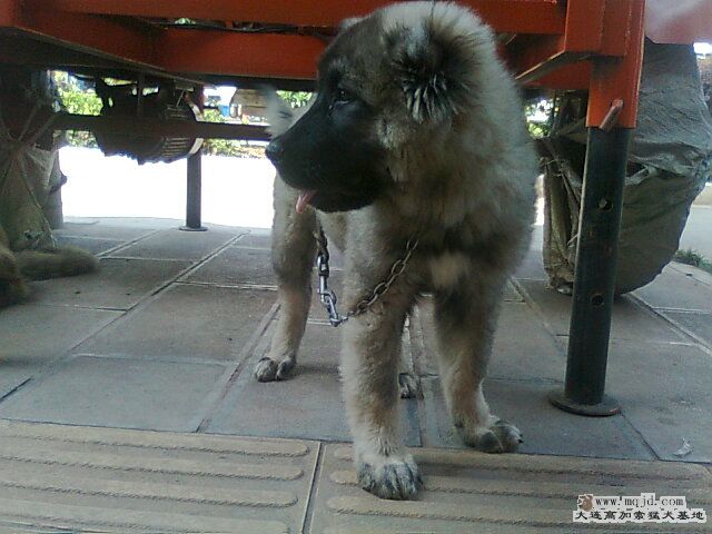 Ƭ0801.jpg