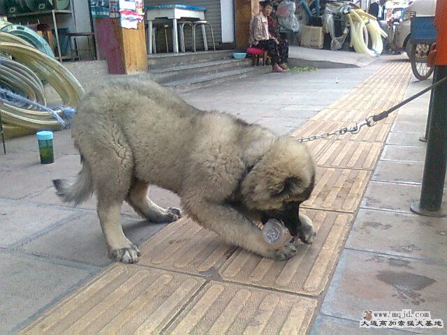 Ƭ0768.jpg