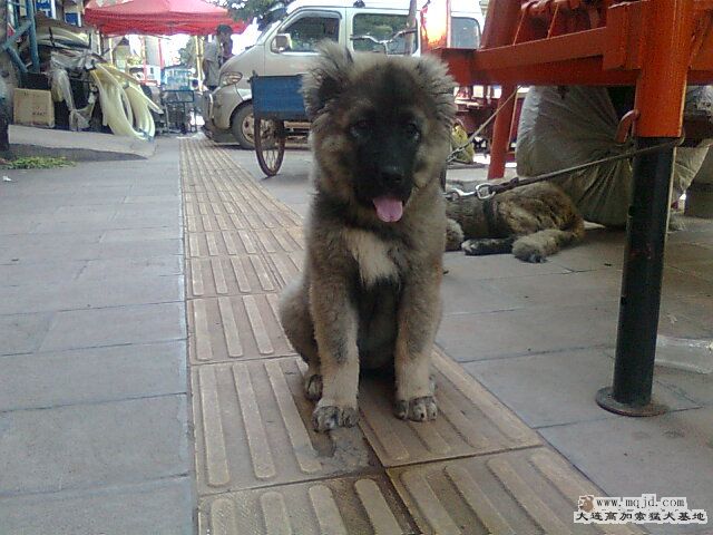 Ƭ0819.jpg