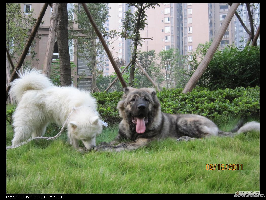 nEO_IMG_Ƭ 079.jpg
