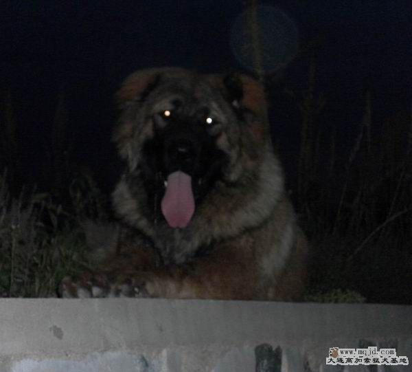 SAM_1440.JPG