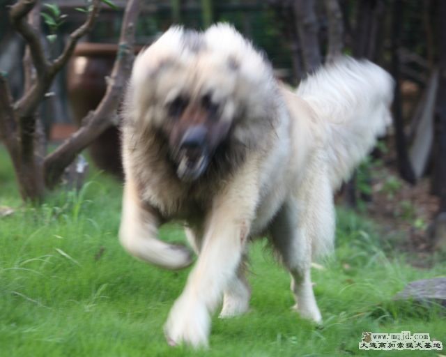 20110807_972d_32.5m_023_D1.JPG