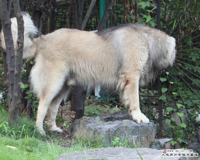20110807_972d_32.5m_015_D1.JPG