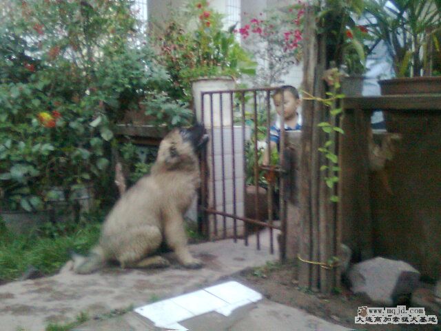 Ƭ0909.jpg