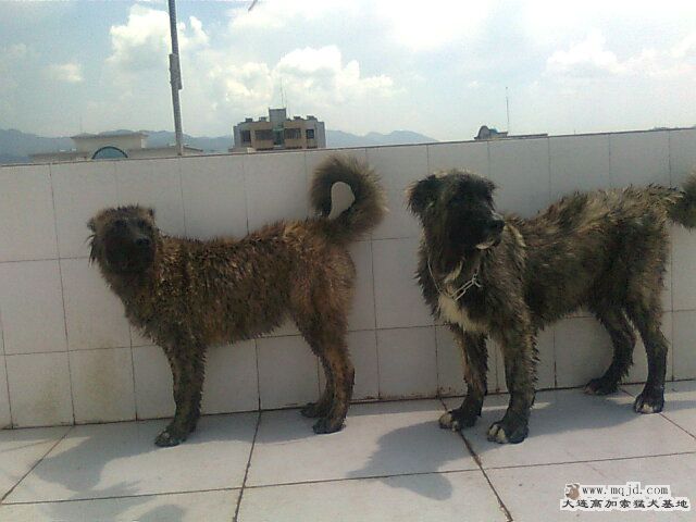 Ƭ0920.jpg